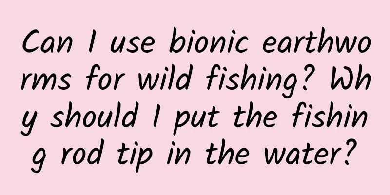 Can I use bionic earthworms for wild fishing? Why should I put the fishing rod tip in the water?