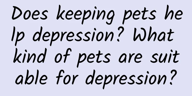 Does keeping pets help depression? What kind of pets are suitable for depression?