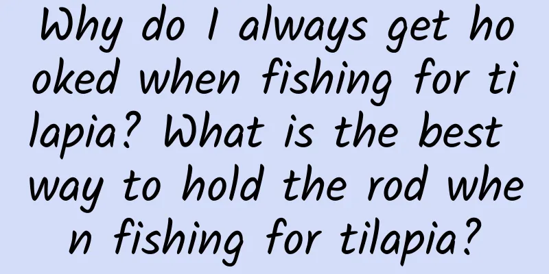 Why do I always get hooked when fishing for tilapia? What is the best way to hold the rod when fishing for tilapia?