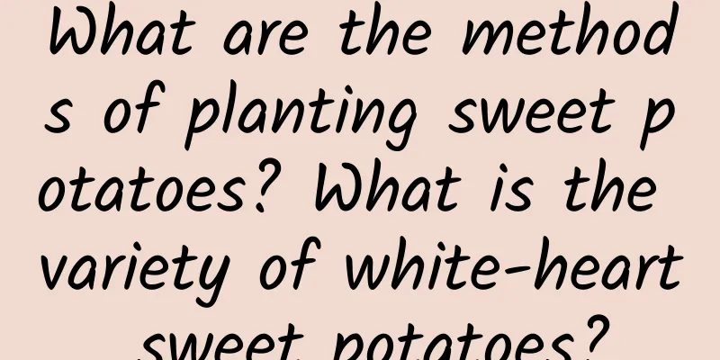 What are the methods of planting sweet potatoes? What is the variety of white-heart sweet potatoes?