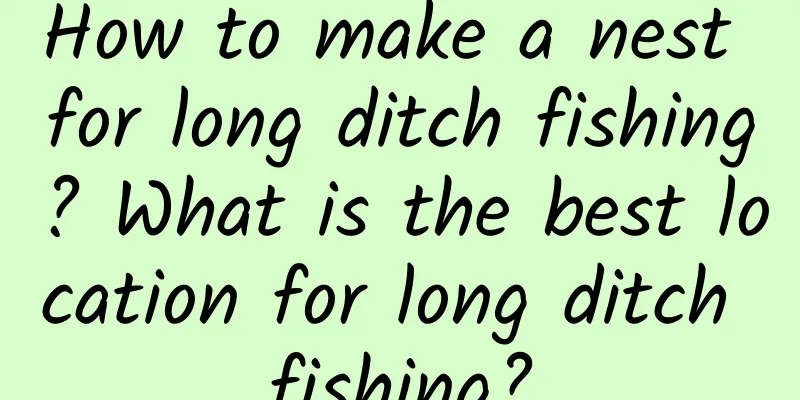 How to make a nest for long ditch fishing? What is the best location for long ditch fishing?
