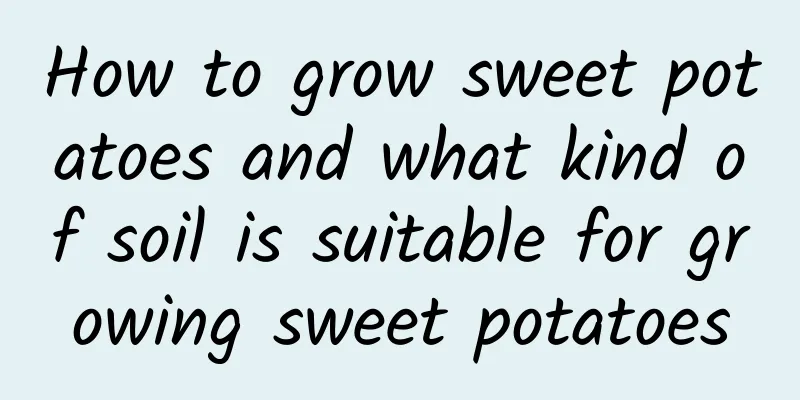 How to grow sweet potatoes and what kind of soil is suitable for growing sweet potatoes
