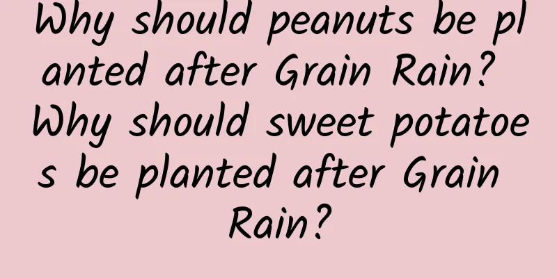 Why should peanuts be planted after Grain Rain? Why should sweet potatoes be planted after Grain Rain?