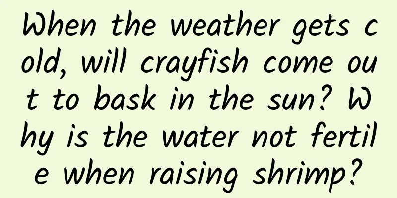 When the weather gets cold, will crayfish come out to bask in the sun? Why is the water not fertile when raising shrimp?