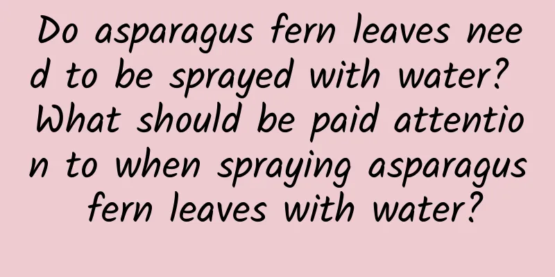Do asparagus fern leaves need to be sprayed with water? What should be paid attention to when spraying asparagus fern leaves with water?