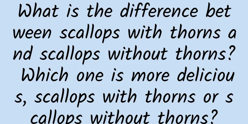 What is the difference between scallops with thorns and scallops without thorns? Which one is more delicious, scallops with thorns or scallops without thorns?
