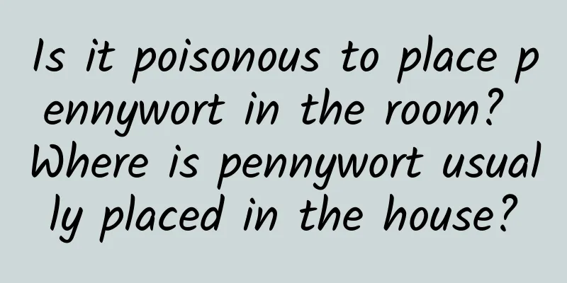 Is it poisonous to place pennywort in the room? Where is pennywort usually placed in the house?