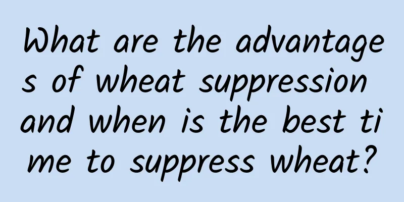 What are the advantages of wheat suppression and when is the best time to suppress wheat?