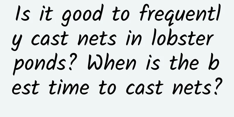 Is it good to frequently cast nets in lobster ponds? When is the best time to cast nets?