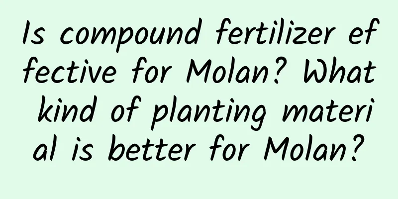 Is compound fertilizer effective for Molan? What kind of planting material is better for Molan?