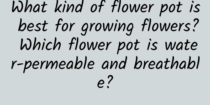 What kind of flower pot is best for growing flowers? Which flower pot is water-permeable and breathable?