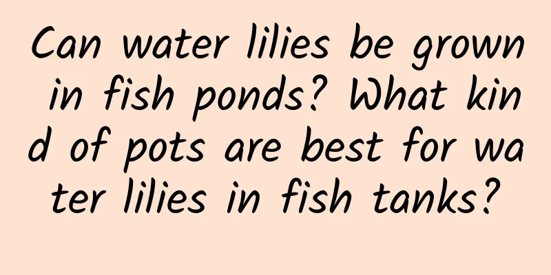 Can water lilies be grown in fish ponds? What kind of pots are best for water lilies in fish tanks?