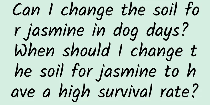 Can I change the soil for jasmine in dog days? When should I change the soil for jasmine to have a high survival rate?
