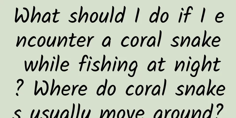 What should I do if I encounter a coral snake while fishing at night? Where do coral snakes usually move around?