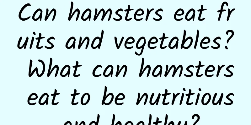 Can hamsters eat fruits and vegetables? What can hamsters eat to be nutritious and healthy?