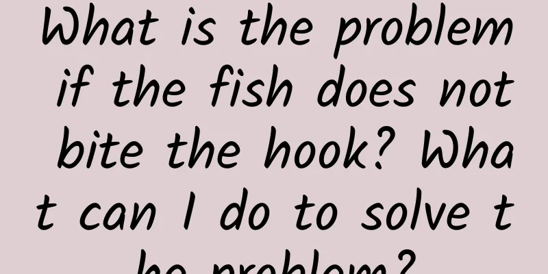 What is the problem if the fish does not bite the hook? What can I do to solve the problem?