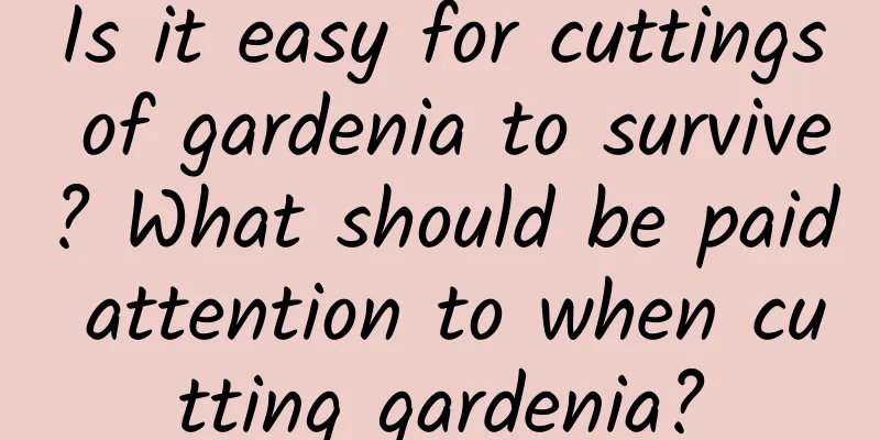 Is it easy for cuttings of gardenia to survive? What should be paid attention to when cutting gardenia?