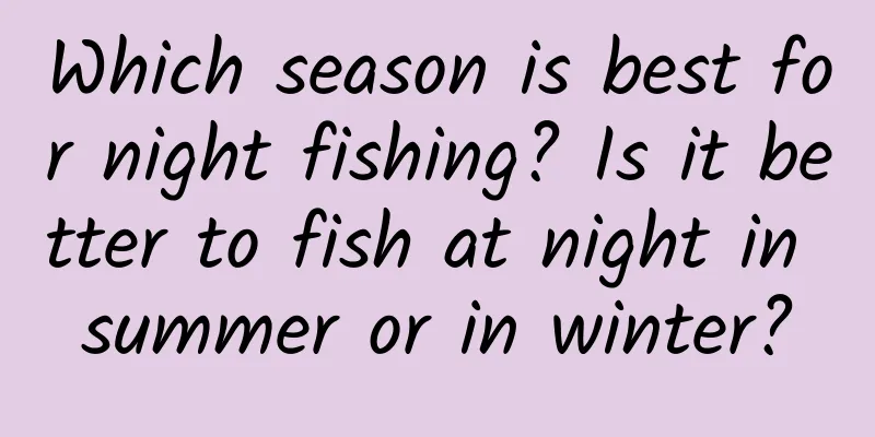 Which season is best for night fishing? Is it better to fish at night in summer or in winter?