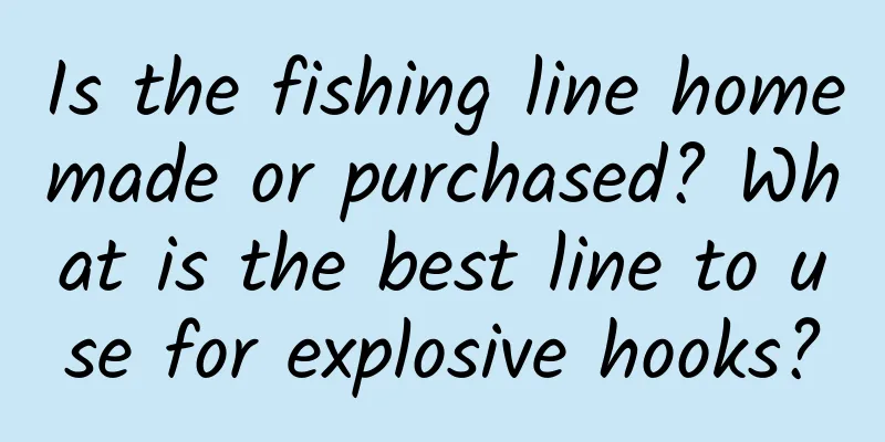 Is the fishing line homemade or purchased? What is the best line to use for explosive hooks?
