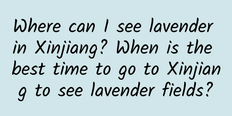 Where can I see lavender in Xinjiang? When is the best time to go to Xinjiang to see lavender fields?
