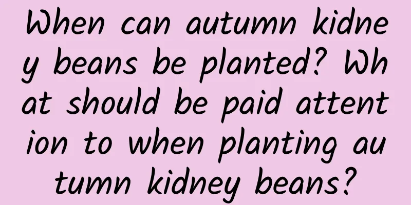 When can autumn kidney beans be planted? What should be paid attention to when planting autumn kidney beans?