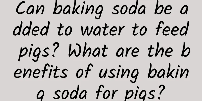 Can baking soda be added to water to feed pigs? What are the benefits of using baking soda for pigs?