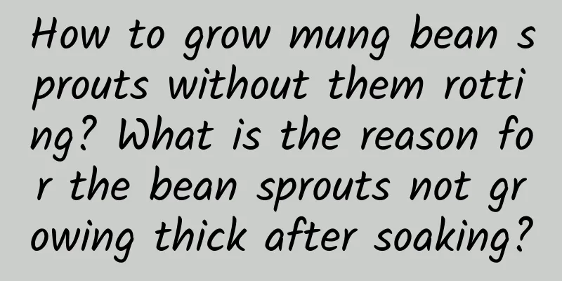 How to grow mung bean sprouts without them rotting? What is the reason for the bean sprouts not growing thick after soaking?