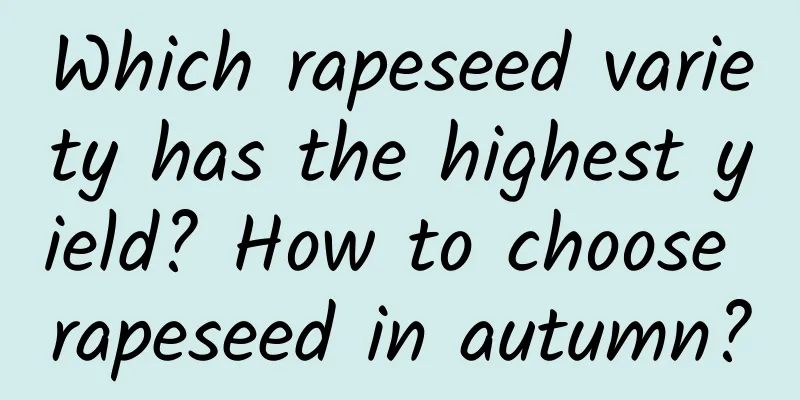 Which rapeseed variety has the highest yield? How to choose rapeseed in autumn?