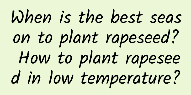 When is the best season to plant rapeseed? How to plant rapeseed in low temperature?