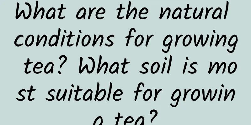 What are the natural conditions for growing tea? What soil is most suitable for growing tea?