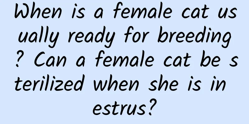When is a female cat usually ready for breeding? Can a female cat be sterilized when she is in estrus?