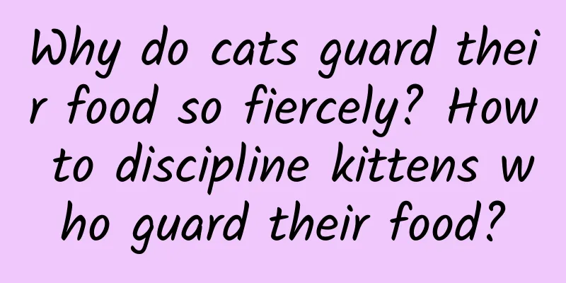 Why do cats guard their food so fiercely? How to discipline kittens who guard their food?