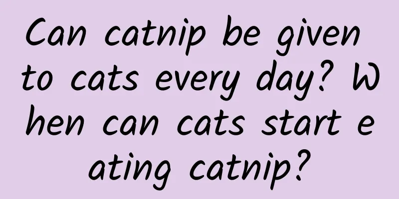 Can catnip be given to cats every day? When can cats start eating catnip?
