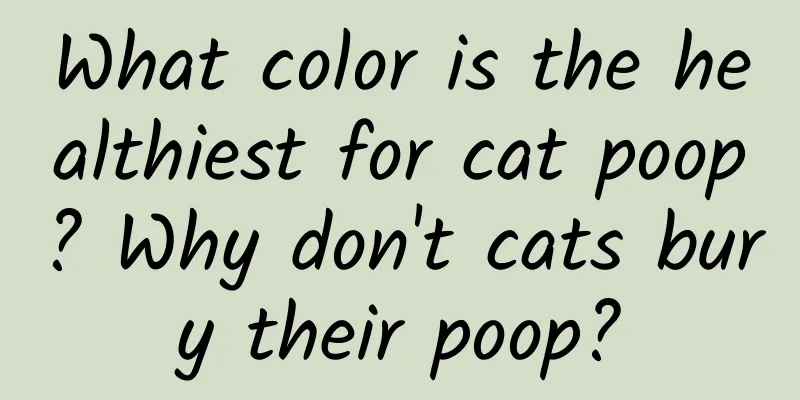 What color is the healthiest for cat poop? Why don't cats bury their poop?