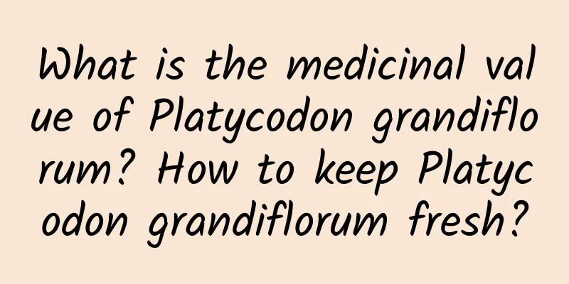 What is the medicinal value of Platycodon grandiflorum? How to keep Platycodon grandiflorum fresh?