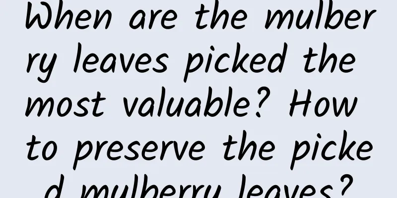 When are the mulberry leaves picked the most valuable? How to preserve the picked mulberry leaves?