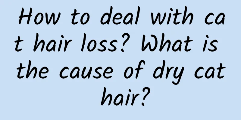 How to deal with cat hair loss? What is the cause of dry cat hair?