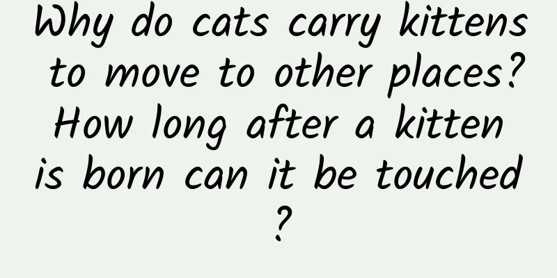 Why do cats carry kittens to move to other places? How long after a kitten is born can it be touched?