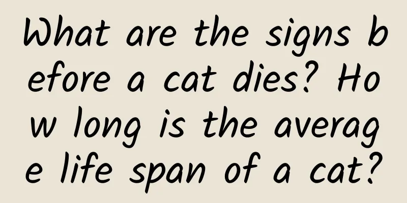 What are the signs before a cat dies? How long is the average life span of a cat?