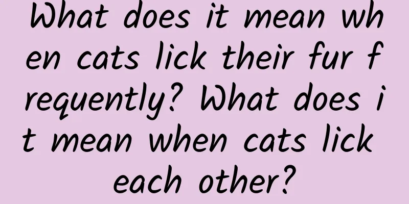 What does it mean when cats lick their fur frequently? What does it mean when cats lick each other?