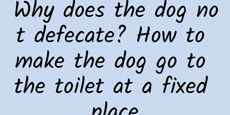 Why does the dog not defecate? How to make the dog go to the toilet at a fixed place