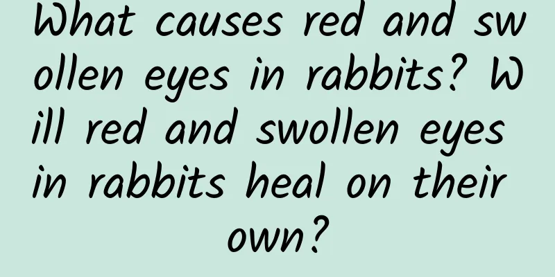 What causes red and swollen eyes in rabbits? Will red and swollen eyes in rabbits heal on their own?