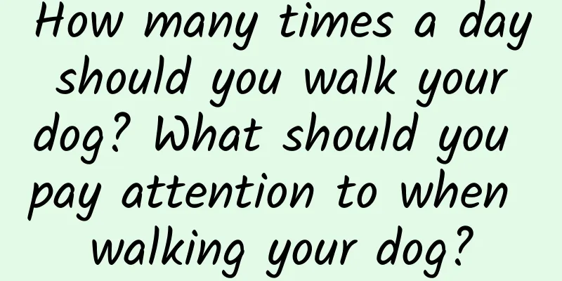 How many times a day should you walk your dog? What should you pay attention to when walking your dog?