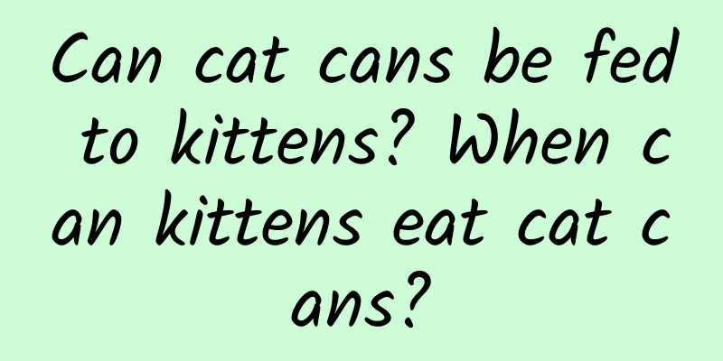 Can cat cans be fed to kittens? When can kittens eat cat cans?