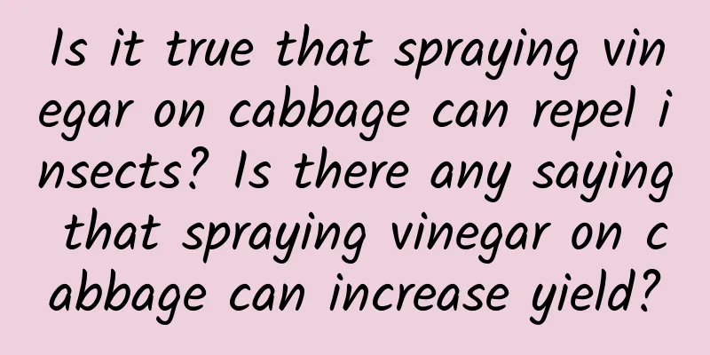 Is it true that spraying vinegar on cabbage can repel insects? Is there any saying that spraying vinegar on cabbage can increase yield?