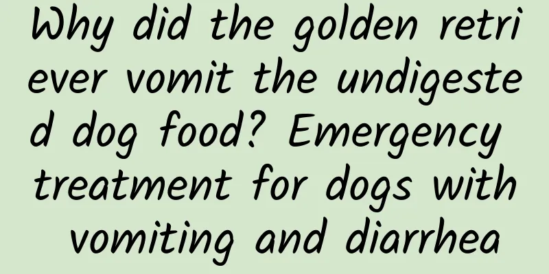 Why did the golden retriever vomit the undigested dog food? Emergency treatment for dogs with vomiting and diarrhea