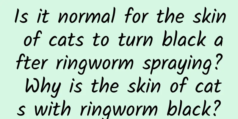 Is it normal for the skin of cats to turn black after ringworm spraying? Why is the skin of cats with ringworm black?