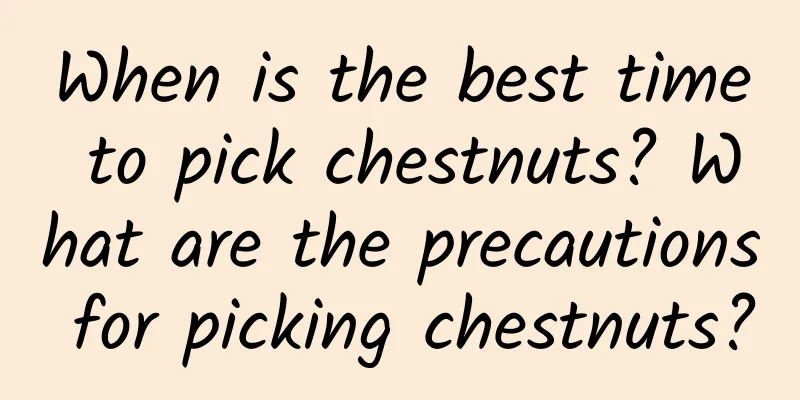 When is the best time to pick chestnuts? What are the precautions for picking chestnuts?