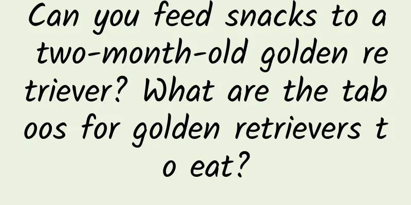 Can you feed snacks to a two-month-old golden retriever? What are the taboos for golden retrievers to eat?
