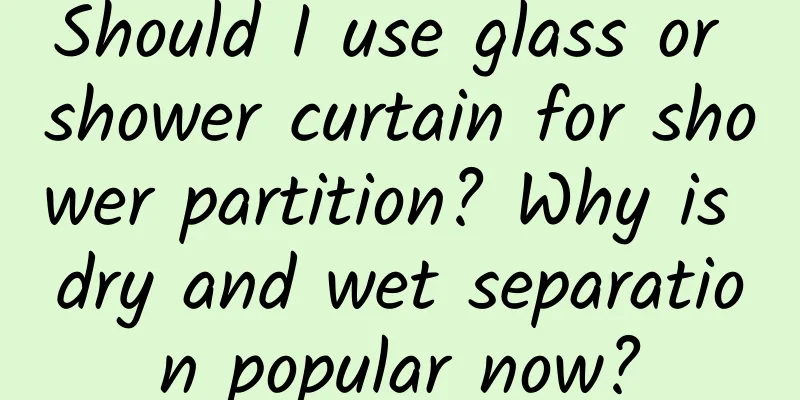 Should I use glass or shower curtain for shower partition? Why is dry and wet separation popular now?
